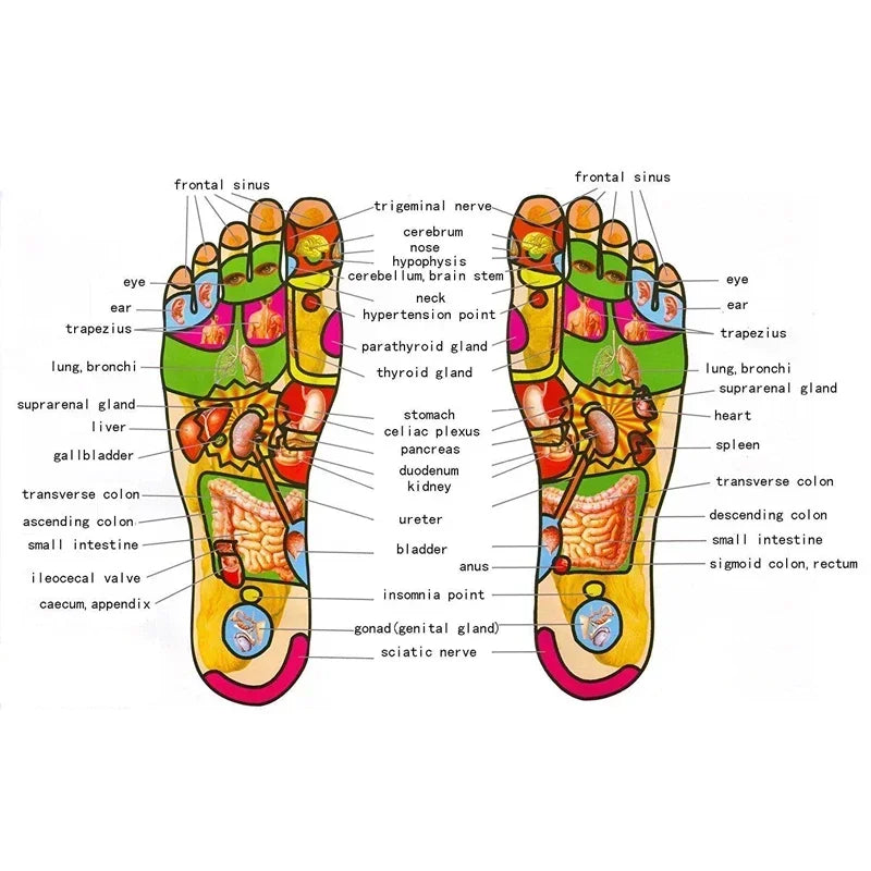 Sd3f7208c37d341e7a5088bb3c78d9a5fA